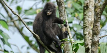 Shutterstock.com/ forest71