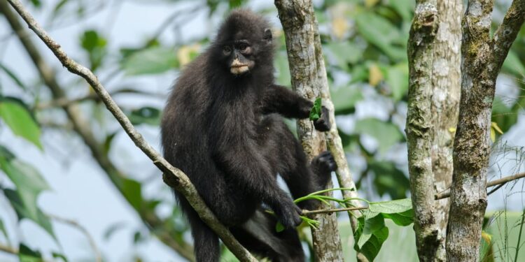 Shutterstock.com/ forest71