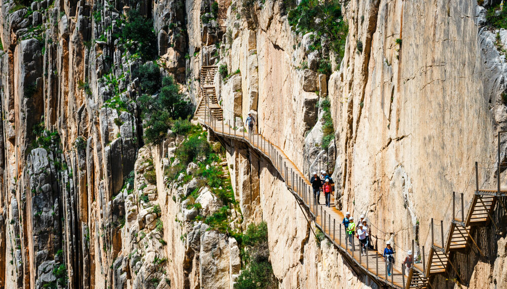 Shutterstock.com/ Dziewul