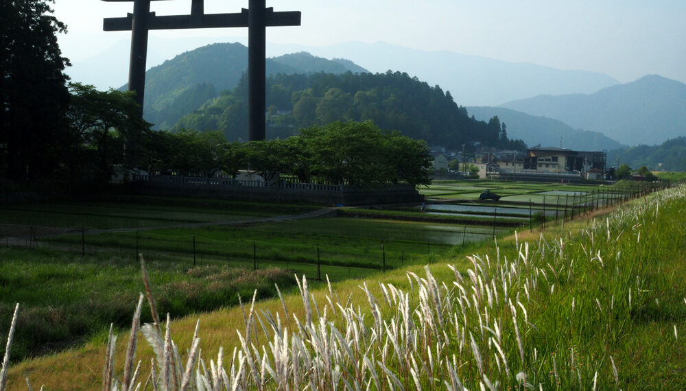 Shutterstock.com/ Petr Brezina