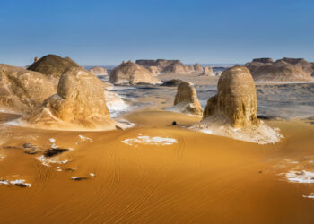 Shutterstock.com/ Michail_Vorobyev