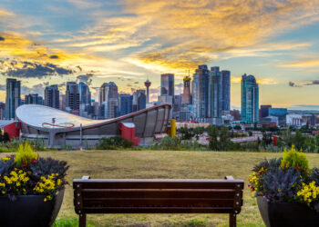 Shutterstock.com/ Mikhail Zapolskyi