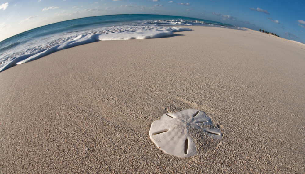 Shutterstock.com/ Ethan Daniels