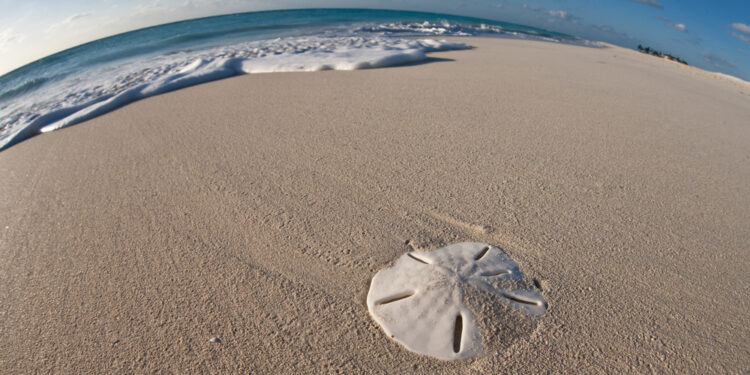 Shutterstock.com/ Ethan Daniels