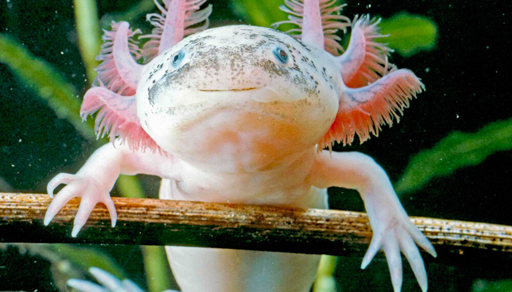 Shutterstock.com/  Arm001