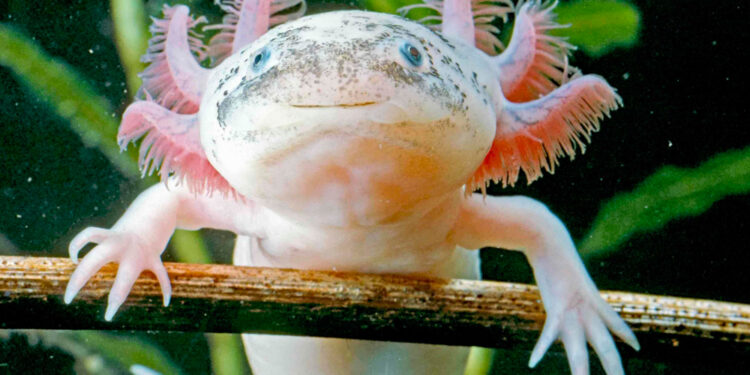 Shutterstock.com/  Arm001