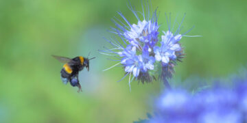 Shutterstock.com/ Serhii Brovko
