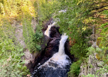 Shutterstock.com/ MS7503