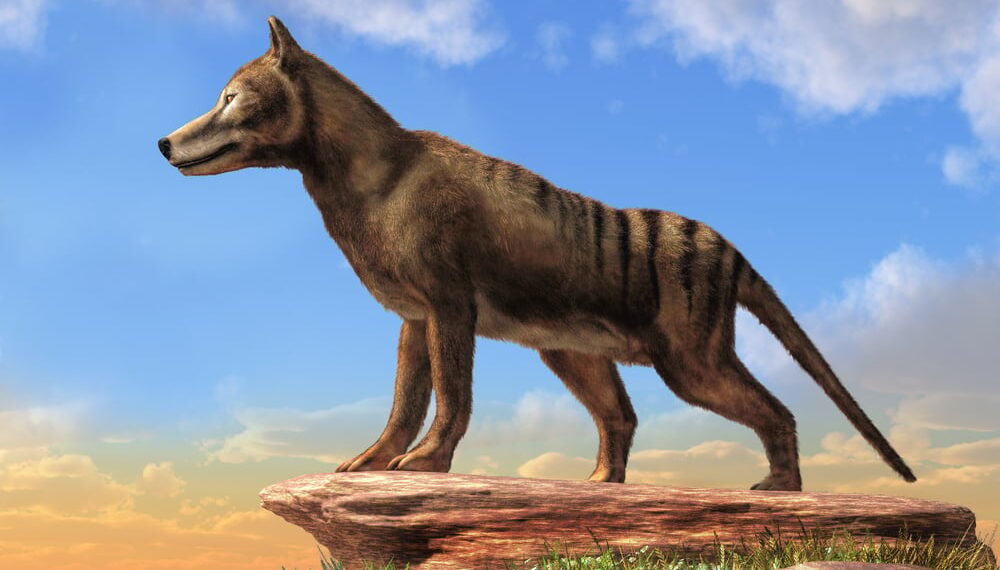 Shutterstock.com/ Daniel Eskridge