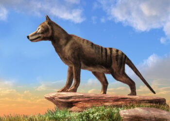 Shutterstock.com/ Daniel Eskridge