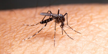 Shutterstock.com/ Witsawat.S