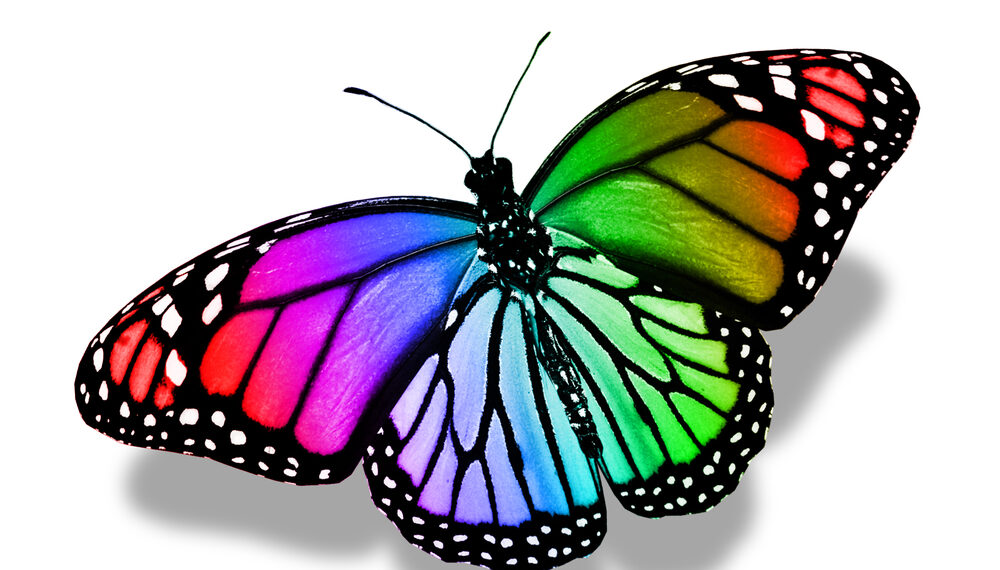 Shutterstock.com/ suns07butterfly