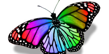 Shutterstock.com/ suns07butterfly