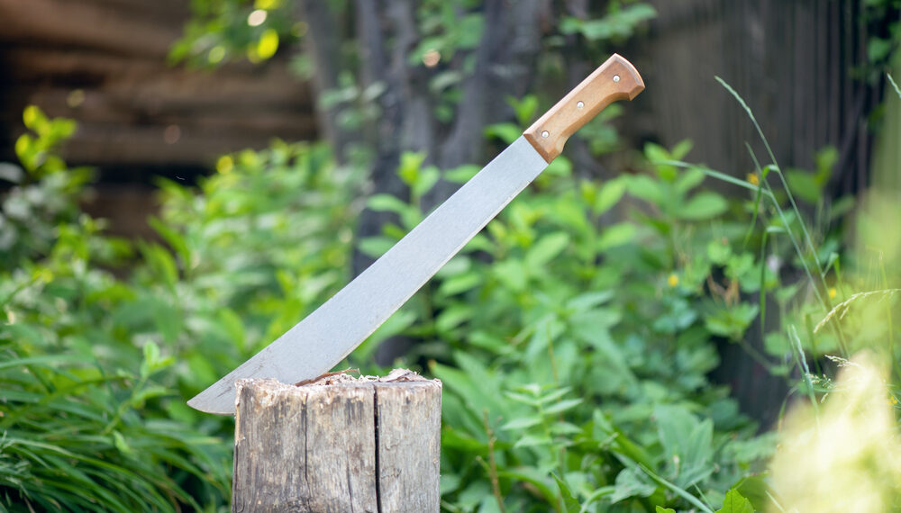 Shutterstock.com/ n_defender