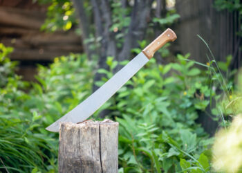 Shutterstock.com/ n_defender