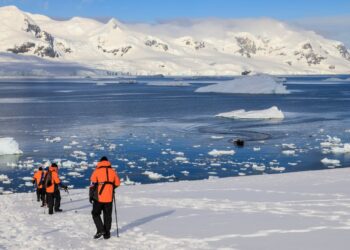 Shutterstock.com/ Eleanor Scriven