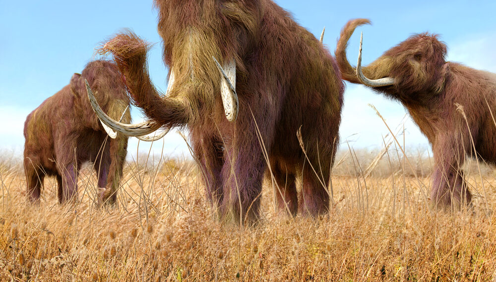 Shutterstock.com/ AuntSpray