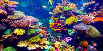 Shutterstock.com/ Volodymyr Goinyk