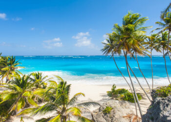 Shutterstock.com/ Filip Fuxa