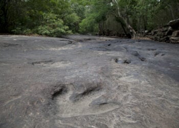 Shutterstock.com/ patarapong saraboon