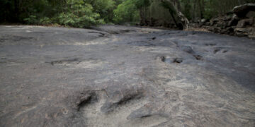 Shutterstock.com/ patarapong saraboon