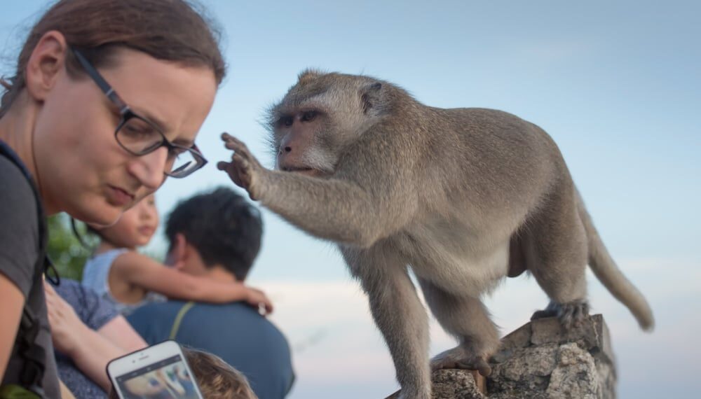 Shutterstock.com/ oOhyperblaster