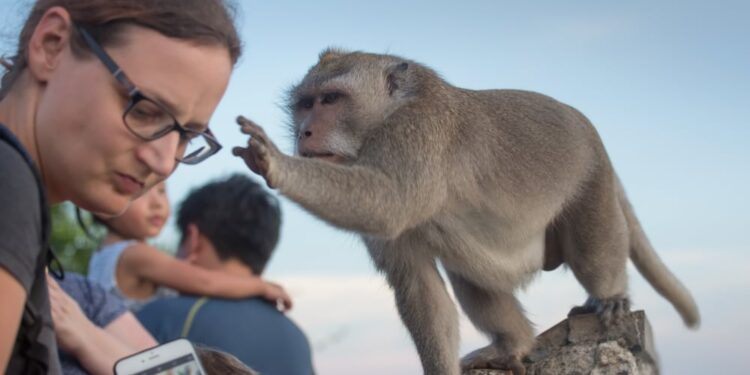 Shutterstock.com/ oOhyperblaster