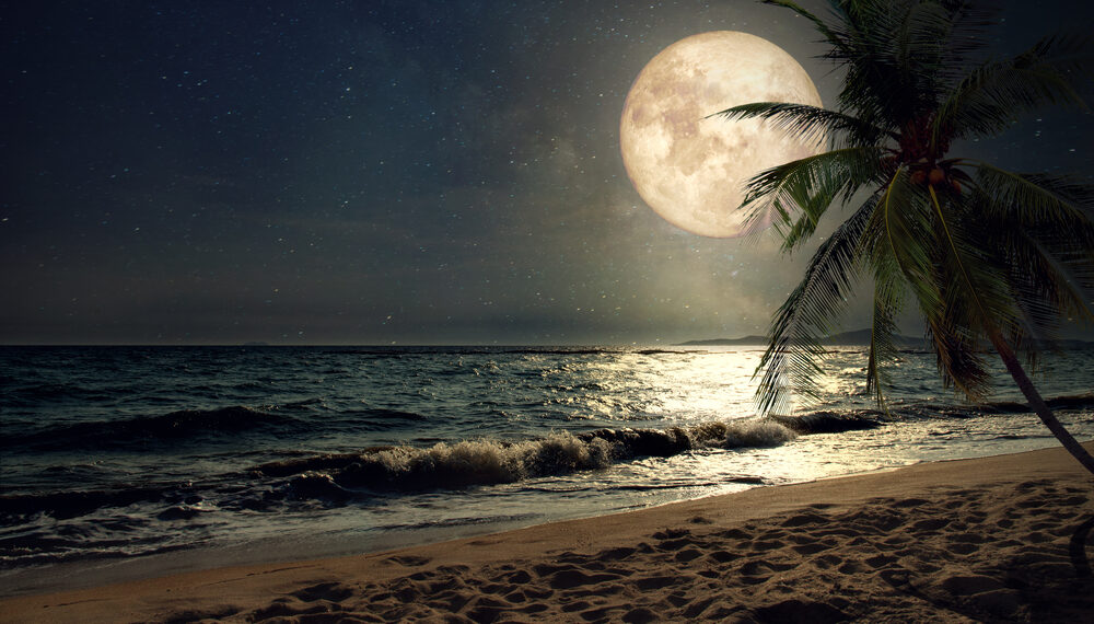 Shutterstock.com/ jakkapan