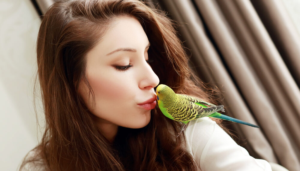 Shutterstock.com/ Olena Zaskochenko