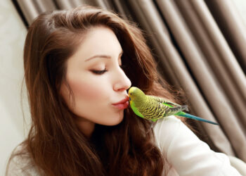 Shutterstock.com/ Olena Zaskochenko