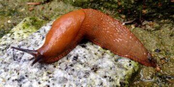 Shutterstock.com/ maerzkind