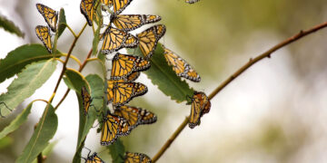 Shutterstock.com/ Bill Kennedy